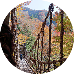 MIYOSHI02
